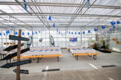 Etter-Air Event 60 Jahre by STEMUTZ, Ried, 08.08.2020