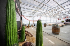 Etter-Air Event 60 Jahre by STEMUTZ, Ried, 08.08.2020