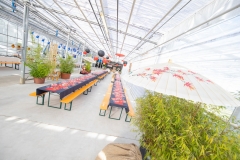 Etter-Air Event 60 Jahre by STEMUTZ, Ried, 08.08.2020