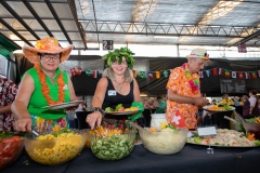 Etter-Air Event 60 Jahre by STEMUTZ, Ried, 08.08.2020