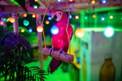 Etter-Air Event 60 Jahre by STEMUTZ, Ried, 08.08.2020