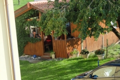 DSCF6245