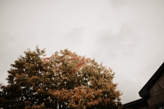 NinaPädi_101020_cramarts-211