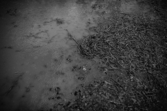 NinaPädi_101020_cramarts-218